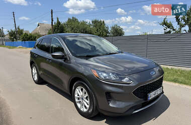 Позашляховик / Кросовер Ford Escape 2020 в 
