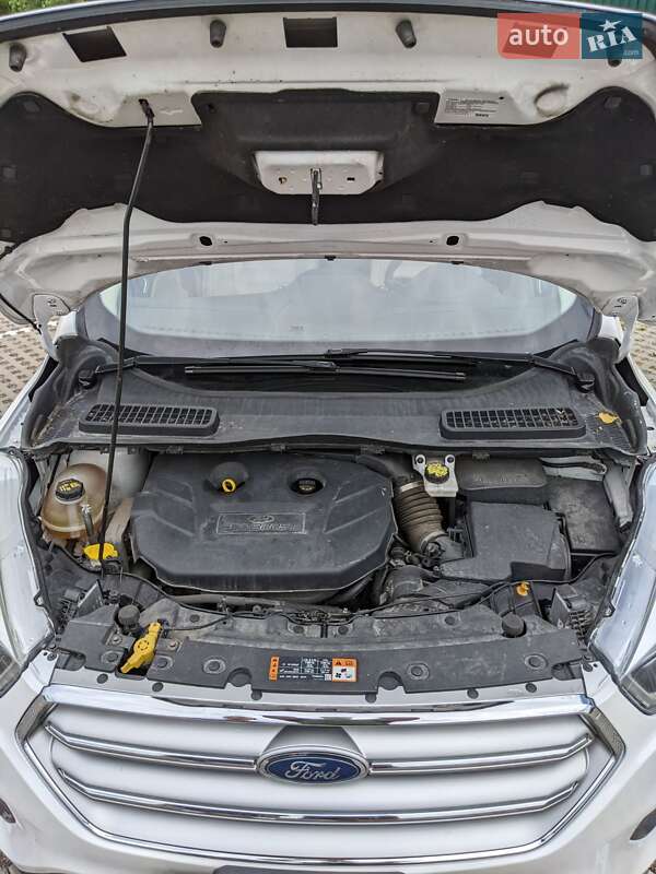 Внедорожник / Кроссовер Ford Escape 2016 в Киеве фото 24 Внедорожник / Кроссовер Ford Escape 2016 в Киеве