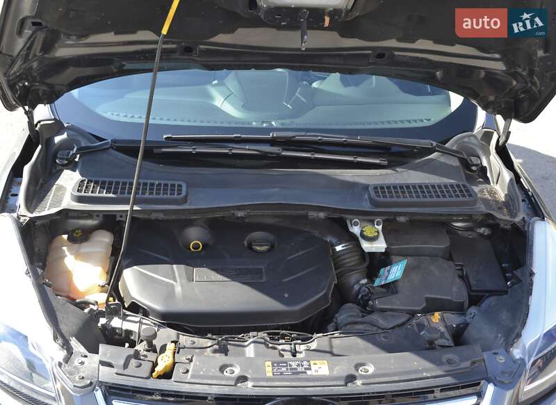 Внедорожник / Кроссовер Ford Escape 2015 в Житомире
