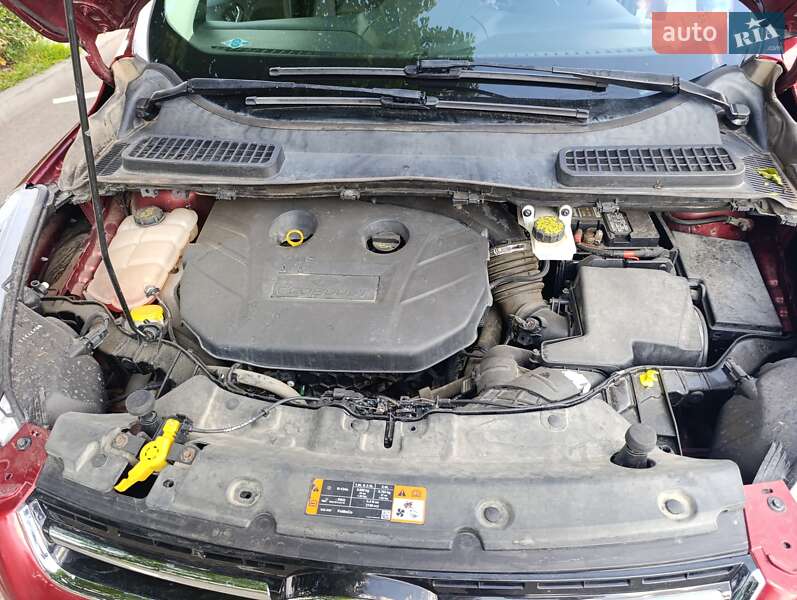 Внедорожник / Кроссовер Ford Escape 2015 в Кропивницком фото 10 Внедорожник / Кроссовер Ford Escape 2015 в Кропивницком