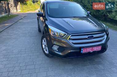 Внедорожник / Кроссовер Ford Escape 2019 в Луцке