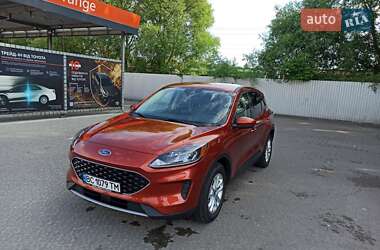 Внедорожник / Кроссовер Ford Escape 2020 в Львове