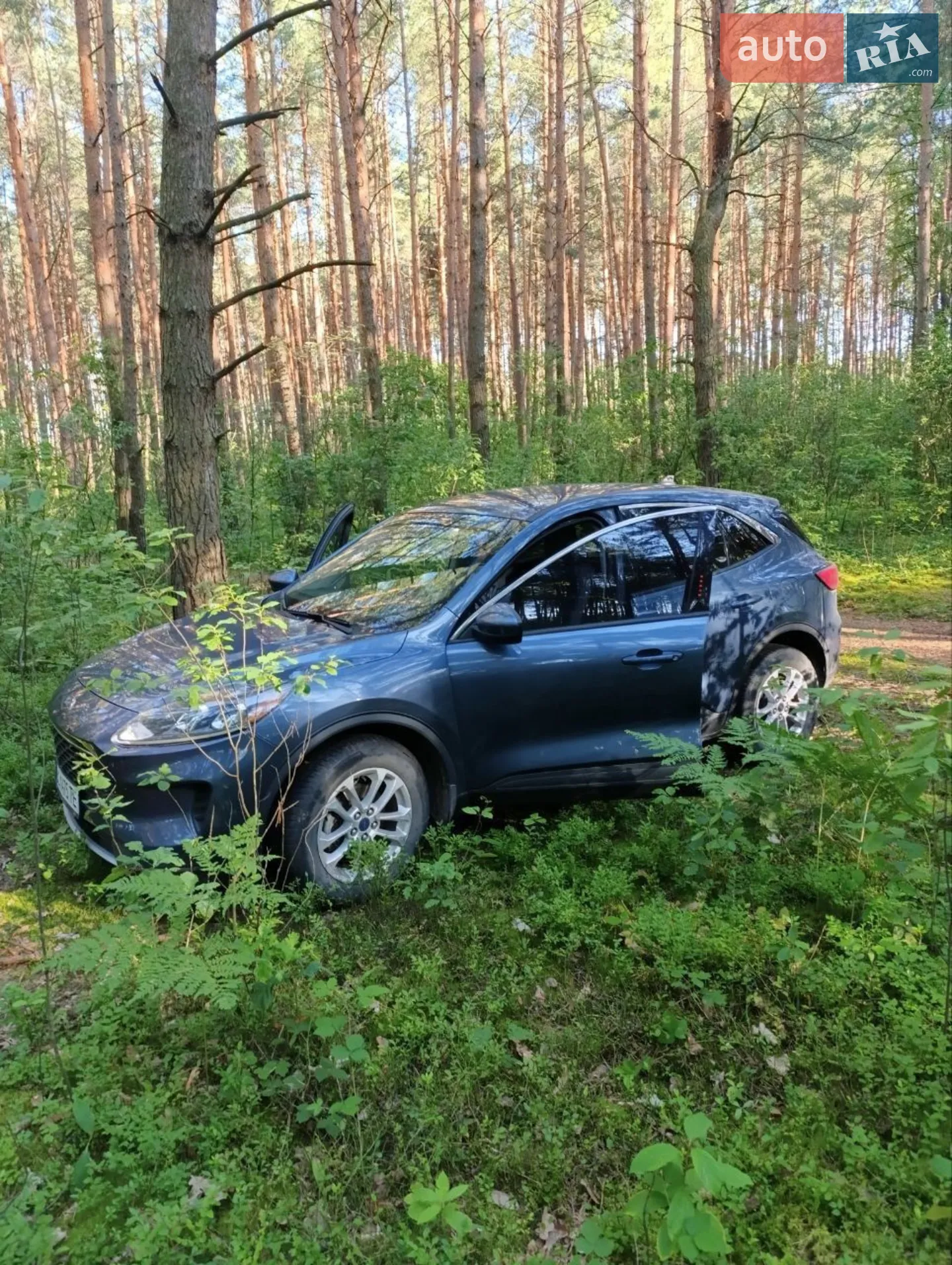 2020 Ford Escape - мініатюра 5