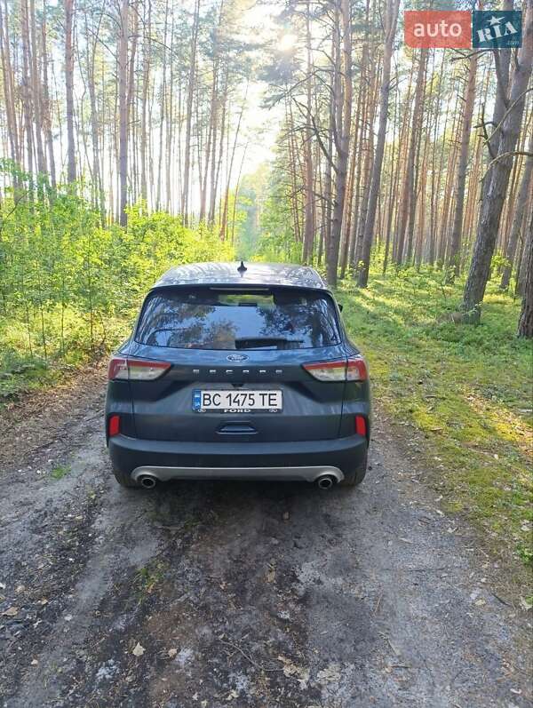 Позашляховик / Кросовер Ford Escape 2020 в Рава-Руській