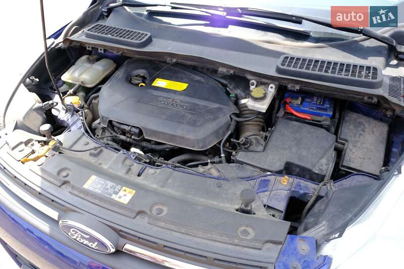 Внедорожник / Кроссовер Ford Escape 2016 в Днепре