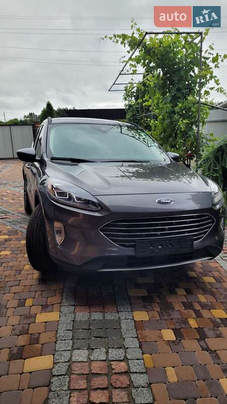 Внедорожник / Кроссовер Ford Escape 2022 в Киеве фото 41 Внедорожник / Кроссовер Ford Escape 2022 в Киеве