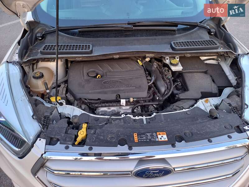 Внедорожник / Кроссовер Ford Escape 2018 в Могилев-Подольске фото 15 Внедорожник / Кроссовер Ford Escape 2018 в Могилев-Подольске