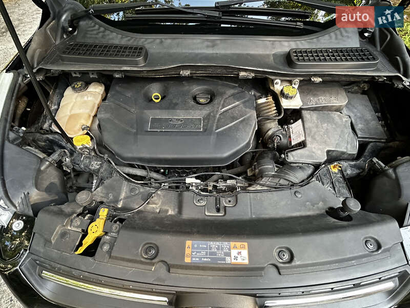 Внедорожник / Кроссовер Ford Escape 2015 в Киеве фото 27 Внедорожник / Кроссовер Ford Escape 2015 в Киеве