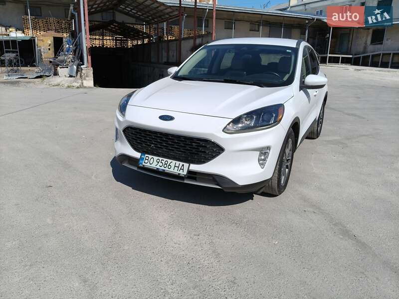 Внедорожник / Кроссовер Ford Escape 2019 в Тернополе