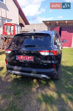 Внедорожник / Кроссовер Ford Escape 2020 в 