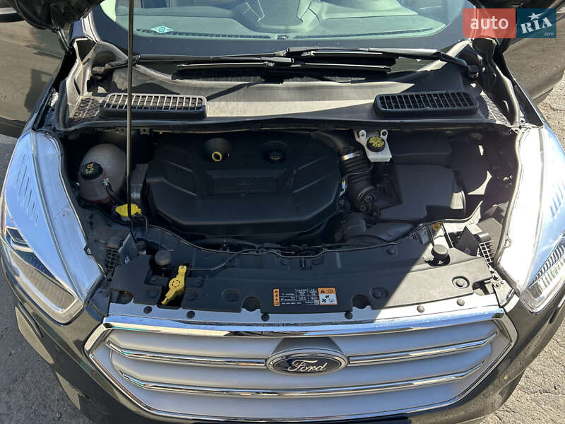 Внедорожник / Кроссовер Ford Escape 2018 в Днепре фото 14 Внедорожник / Кроссовер Ford Escape 2018 в Днепре
