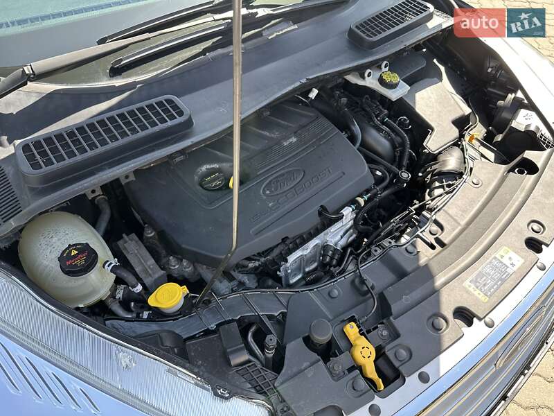 Внедорожник / Кроссовер Ford Escape 2018 в Луцке