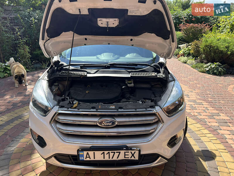Позашляховик / Кросовер Ford Escape 2018 в Києві