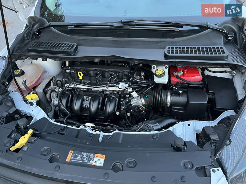 Внедорожник / Кроссовер Ford Escape 2019 в Шепетовке фото 19 Внедорожник / Кроссовер Ford Escape 2019 в Шепетовке