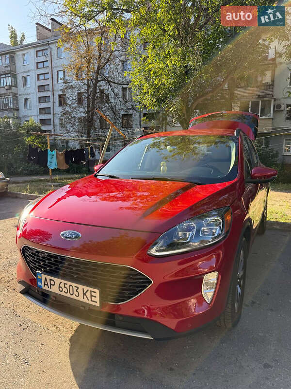 Ford Escape 2019