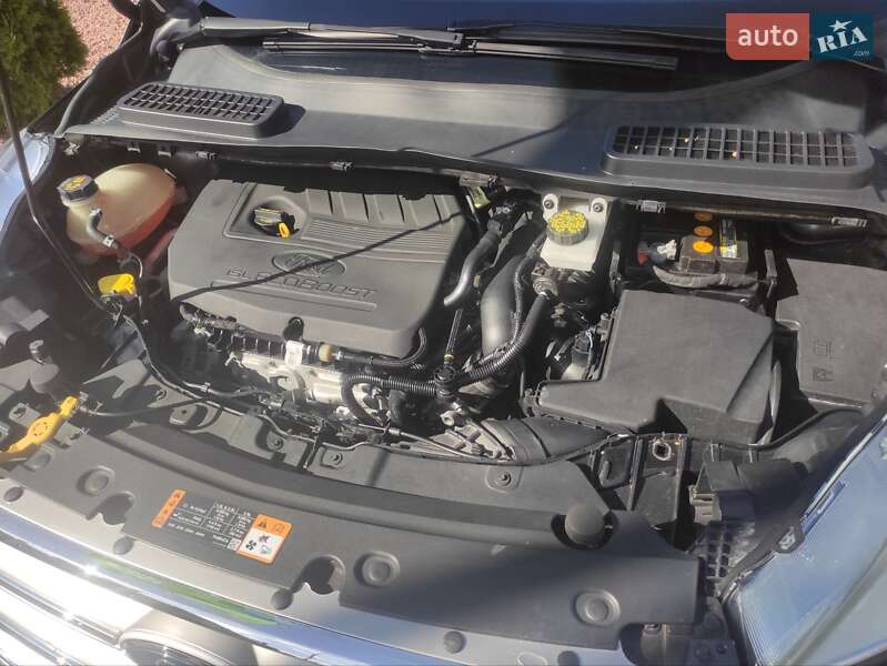 Внедорожник / Кроссовер Ford Escape 2017 в Луцке