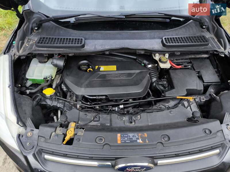 Внедорожник / Кроссовер Ford Escape 2012 в Чернигове