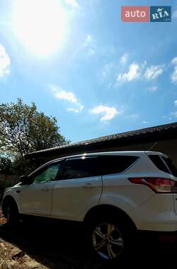 Внедорожник / Кроссовер Ford Escape 2013 в Киеве