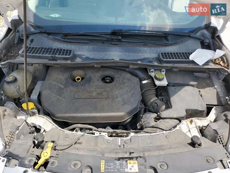 Внедорожник / Кроссовер Ford Escape 2017 в Черкассах