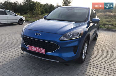 Внедорожник / Кроссовер Ford Escape 2020 в Шептицькому