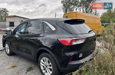 Позашляховик / Кросовер Ford Escape 2020 в 