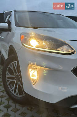 Внедорожник / Кроссовер Ford Escape 2020 в 