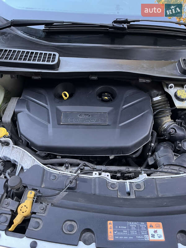 Внедорожник / Кроссовер Ford Escape 2018 в Килии фото 42 Внедорожник / Кроссовер Ford Escape 2018 в Килии