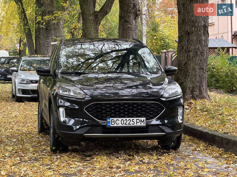 Внедорожник / Кроссовер Ford Escape 2020 в Львове фото 18 Внедорожник / Кроссовер Ford Escape 2020 в Львове