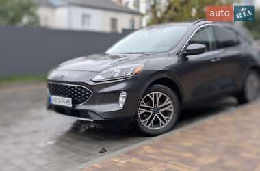 Внедорожник / Кроссовер Ford Escape 2020 в 