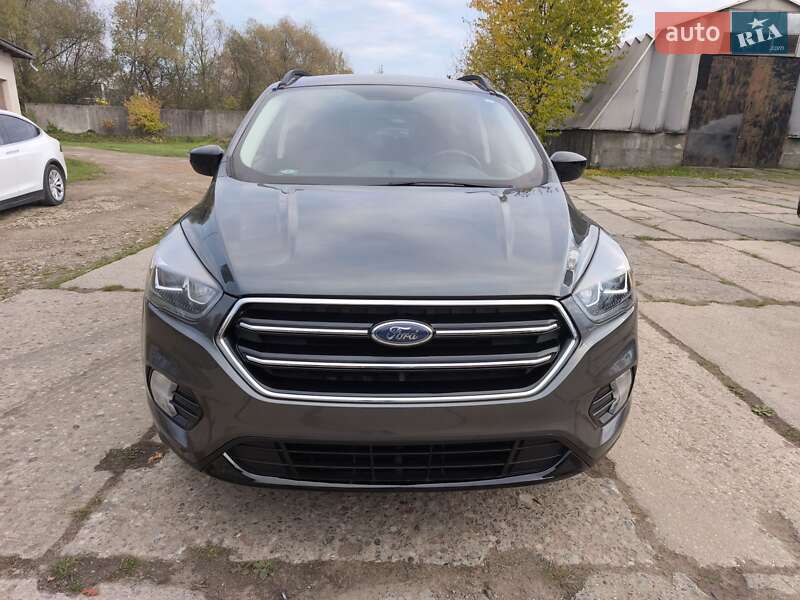 Позашляховик / Кросовер Ford Escape 2019 в Стрию фото 4 Позашляховик / Кросовер Ford Escape 2019 в Стрию