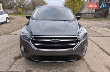 Внедорожник / Кроссовер Ford Escape 2019 в 