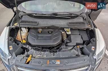 Внедорожник / Кроссовер Ford Escape 2013 в 