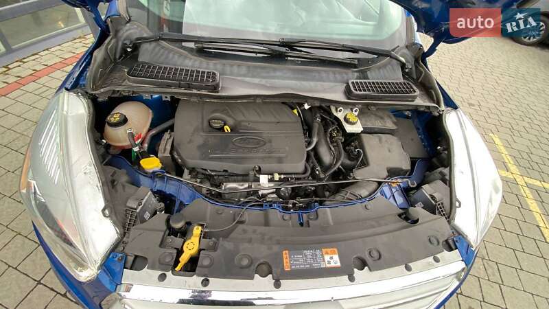 Позашляховик / Кросовер Ford Escape 2017 в Ужгороді