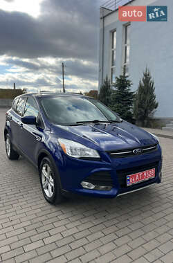 Внедорожник / Кроссовер Ford Escape 2016 в Житомире