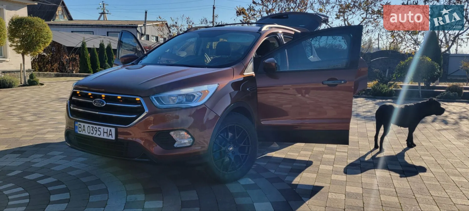 2016 Ford Escape - мініатюра 11