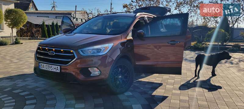 Внедорожник / Кроссовер Ford Escape 2016 в Гайвороне фото 11 Внедорожник / Кроссовер Ford Escape 2016 в Гайвороне