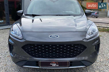 Внедорожник / Кроссовер Ford Escape 2019 в Ивано-Франковске