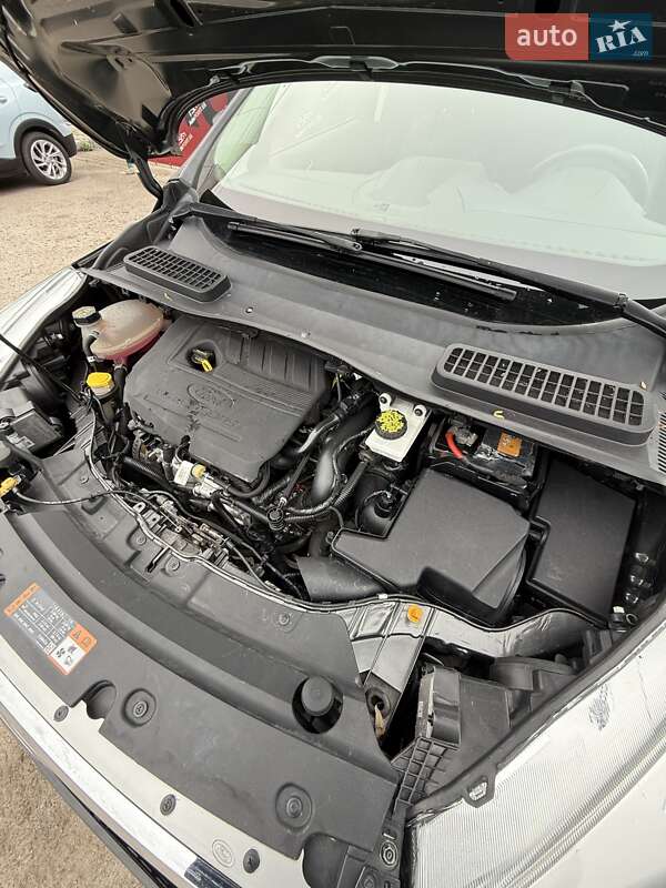 Внедорожник / Кроссовер Ford Escape 2016 в Сумах фото 30 Внедорожник / Кроссовер Ford Escape 2016 в Сумах