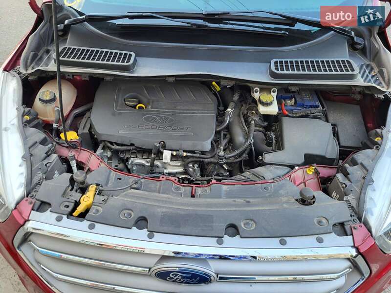 Внедорожник / Кроссовер Ford Escape 2016 в Днепре фото 11 Внедорожник / Кроссовер Ford Escape 2016 в Днепре