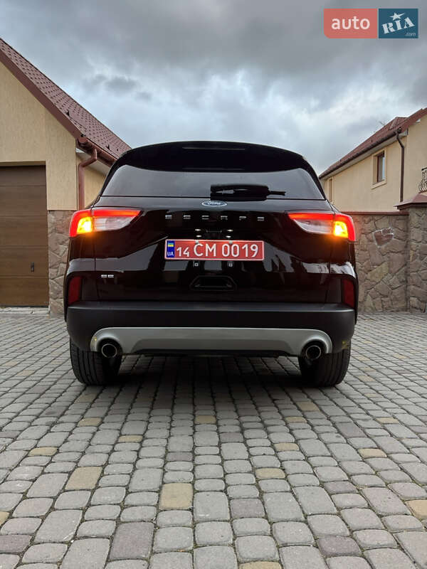 Внедорожник / Кроссовер Ford Escape 2020 в Львове