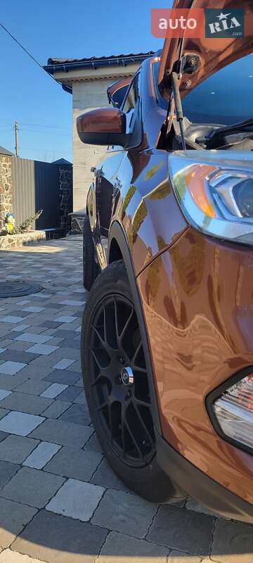 Внедорожник / Кроссовер Ford Escape 2016 в Гайвороне фото 40 Внедорожник / Кроссовер Ford Escape 2016 в Гайвороне