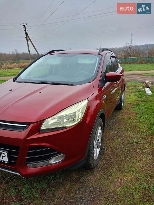 Позашляховик / Кросовер Ford Escape 2013 в Єланці