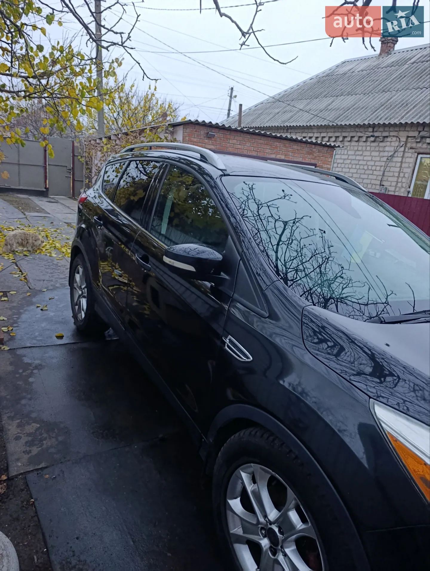2015 Ford Escape - мініатюра 2
