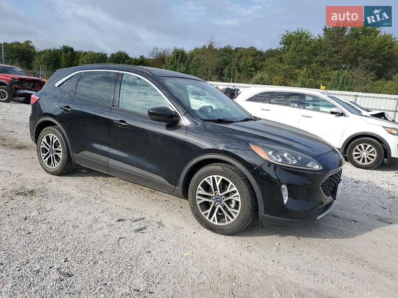 Внедорожник / Кроссовер Ford Escape 2019 в Житомире