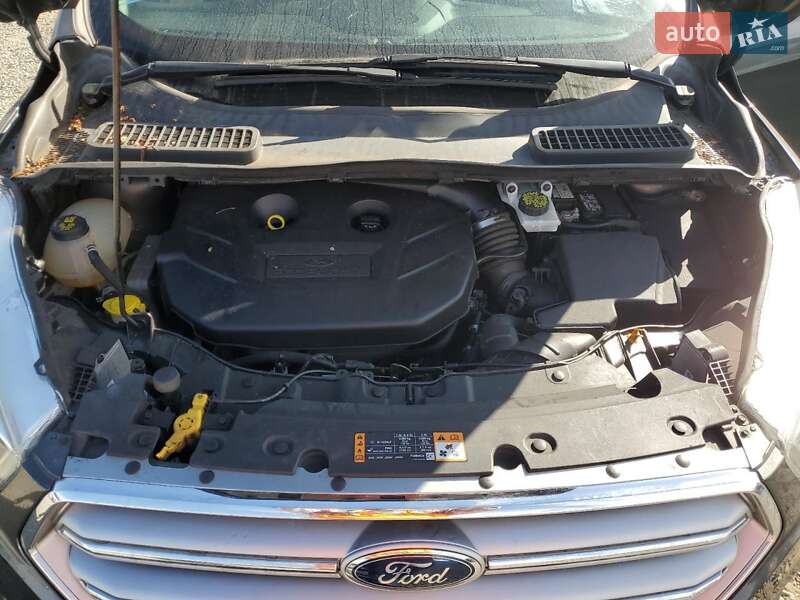 Позашляховик / Кросовер Ford Escape 2017 в Харкові