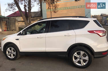 Позашляховик / Кросовер Ford Escape 2013 в Окнах