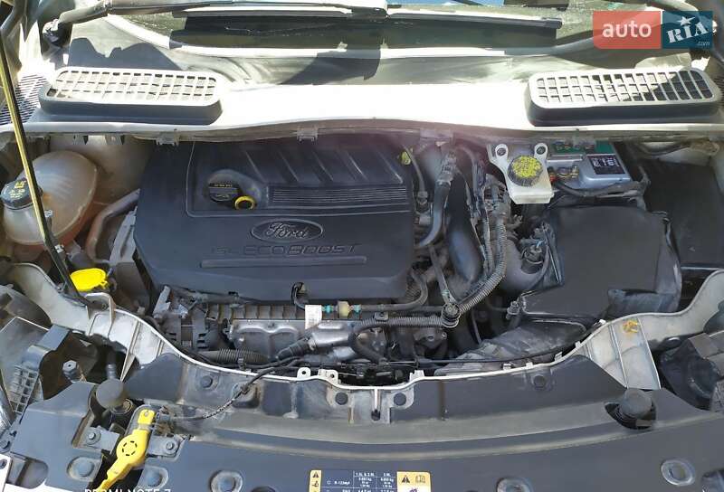 Внедорожник / Кроссовер Ford Escape 2017 в Ровно фото 29 Внедорожник / Кроссовер Ford Escape 2017 в Ровно