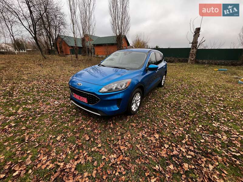 Позашляховик / Кросовер Ford Escape 2020 в Саврані
