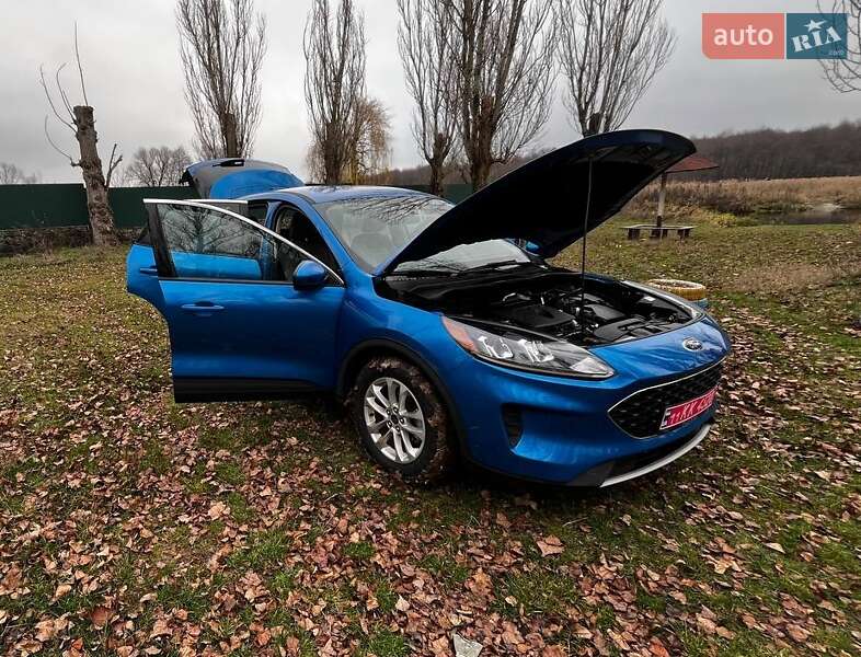 Позашляховик / Кросовер Ford Escape 2020 в Саврані