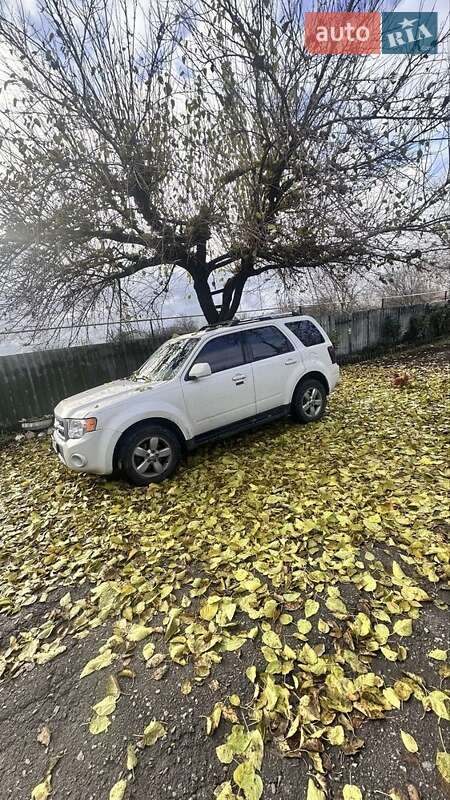 Внедорожник / Кроссовер Ford Escape 2010 в Киеве